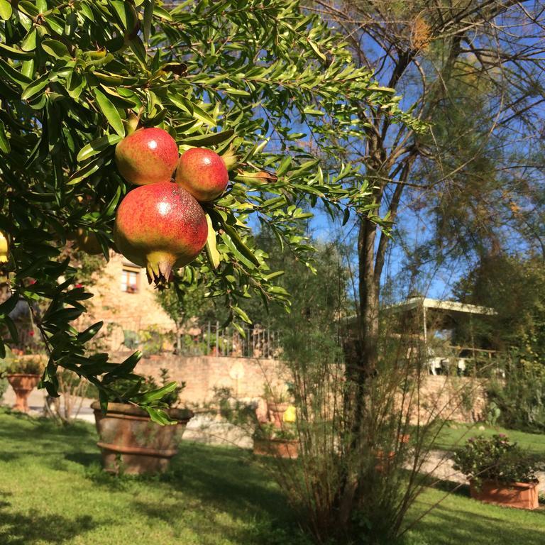 Podere Il Pero Сієна Екстер'єр фото